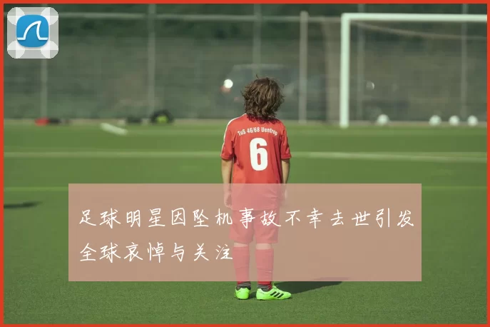 足球明星因坠机事故不幸去世引发全球哀悼与关注